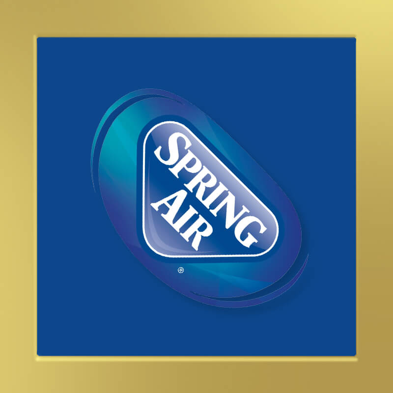 Partner spring bed spring air