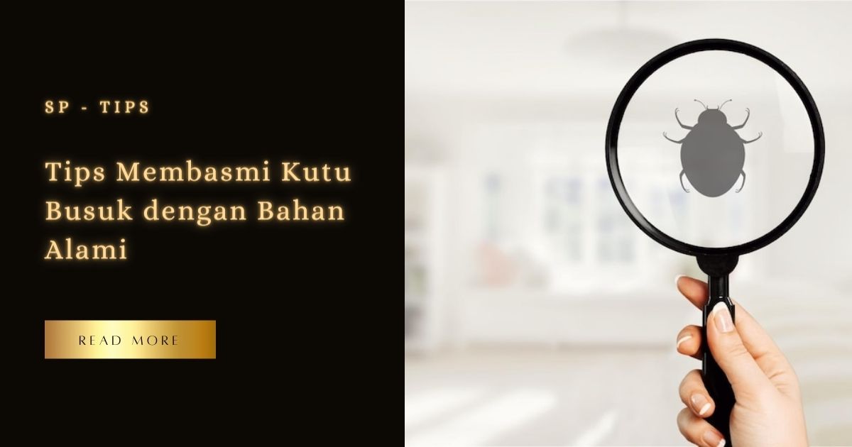 Tips Membasmi Kutu Busuk dengan Bahan Alami