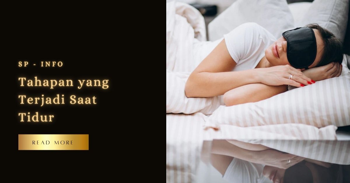 Tahapan yang Terjadi Saat Tidur