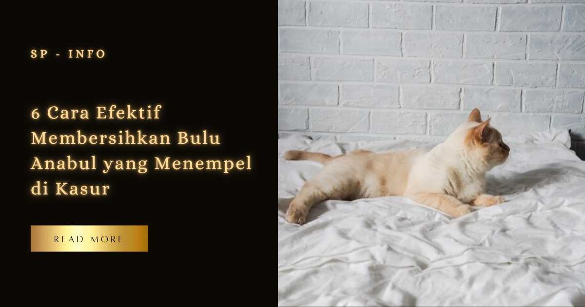 6 Cara Efektif Membersihkan Bulu Anabul yang Menempel di Kasur