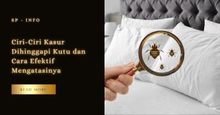 Ciri-Ciri Kasur Dihinggapi Kutu dan Cara Efektif Mengatasinya