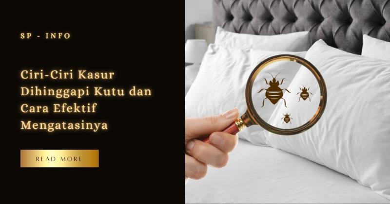 Ciri-Ciri Kasur Dihinggapi Kutu dan Cara Efektif Mengatasinya