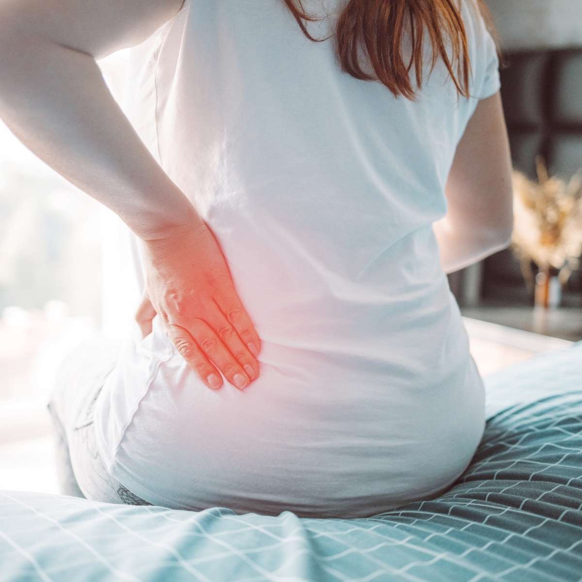 Dukungan Optimal untuk Tulang Belakang