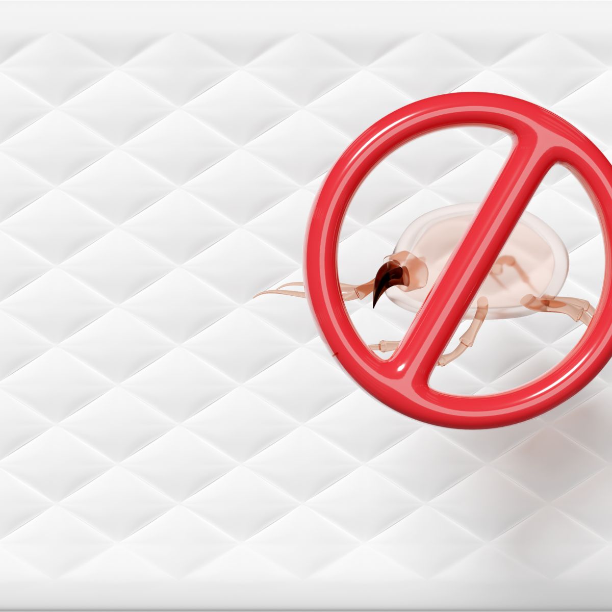 Dampak Tungau pada Kesehatan Kulit