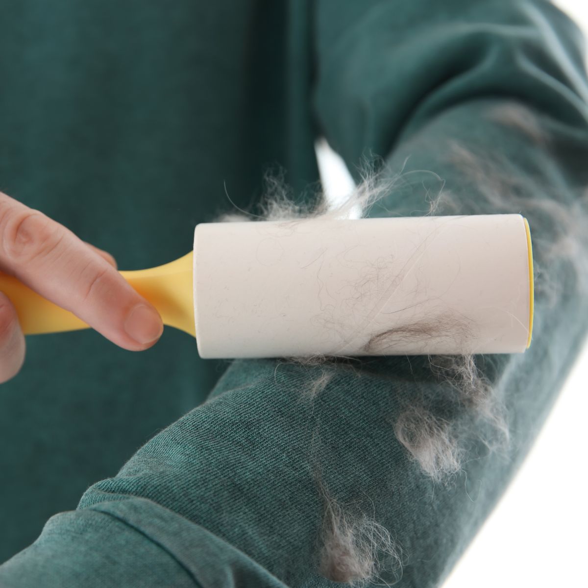 1. Gunakan Lint Roller atau Sticky Tape